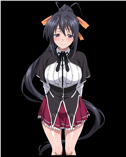 High School DxD Akeno Himejima Anime Graphic T-Shirt